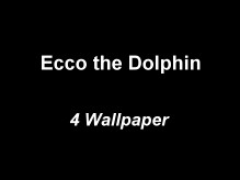 Ecco the Dolphin Wallpaper